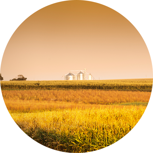 Agricultural Products